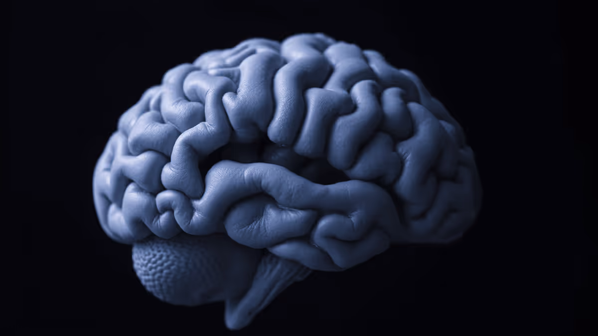 A cool-toned editorial science photograph.